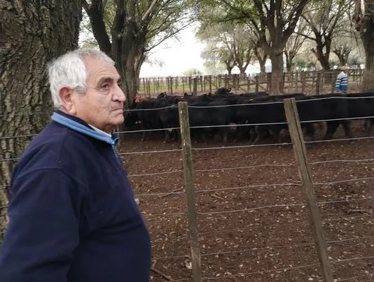 tn_IMG_20250602_165439166