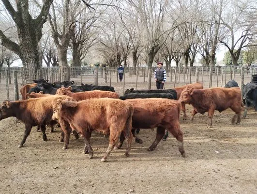 tn_IMG_20240718_154015706