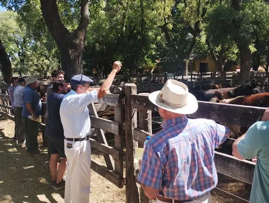 tn_IMG_20250122_105052731