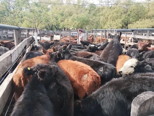 tn_IMG_20250514_132422854