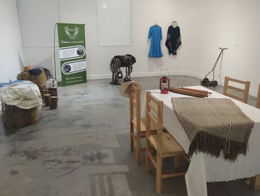 tn_IMG_20241015_185603570