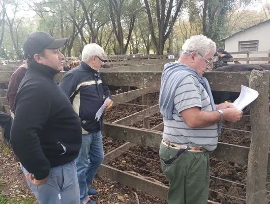 tn_IMG_20250505_160412874