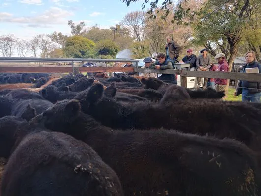 tn_IMG_20250505_164901341_HDR