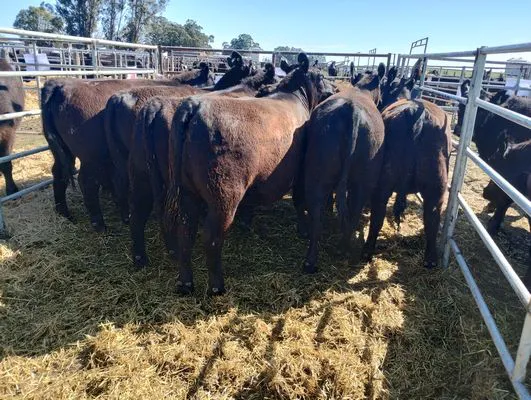 tn_IMG_20240924_104115303_HDR