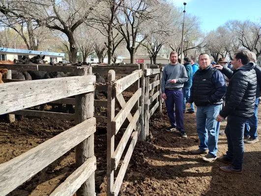 tn_IMG_20240828_113622973_HDR