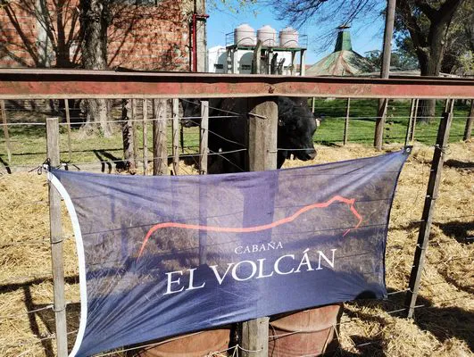 tn_IMG_20240907_112701582