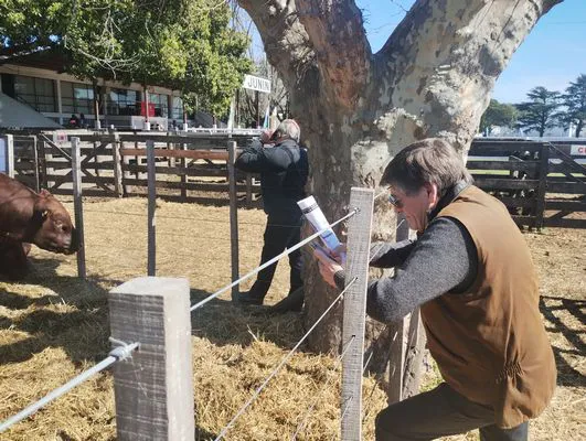 tn_IMG_20240912_112059681