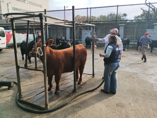 tn_IMG_20240521_092324313