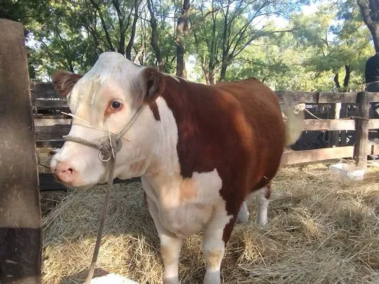 tn_IMG_20250508_161846897