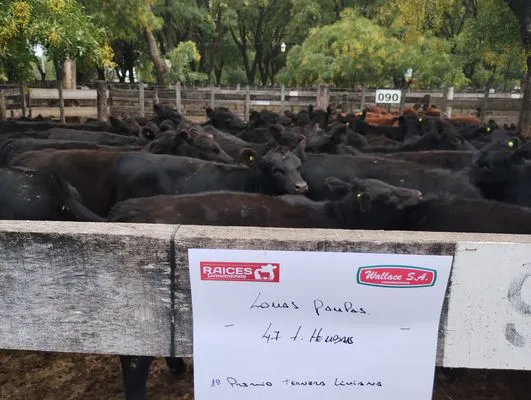 tn_IMG_20250404_155248603