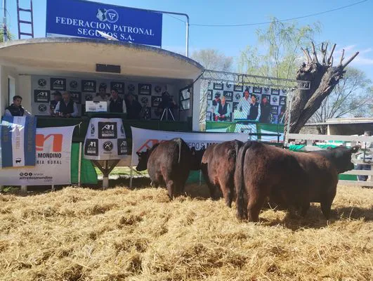 tn_IMG_20240907_142534588