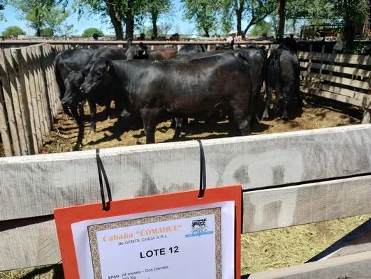 tn_IMG_20241026_122111918_HDR