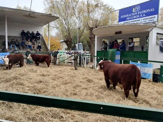 tn_IMG_20240601_122225323_HDR