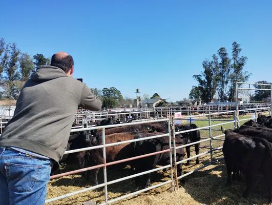 tn_IMG_20240924_104415703