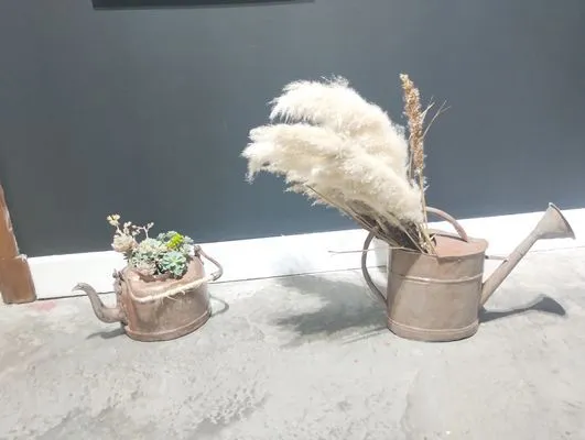 tn_IMG_20241015_185737093