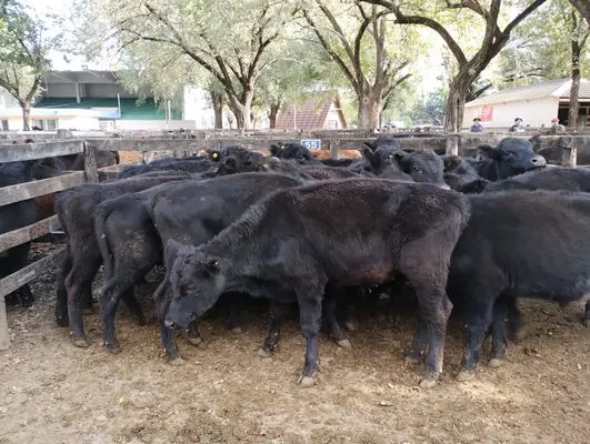 tn_IMG_20240430_152556836