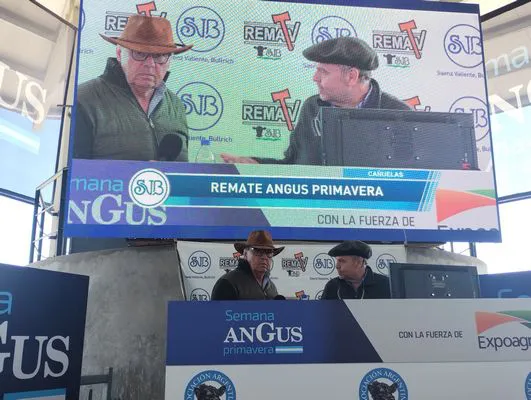 tn_IMG_20240916_114456789