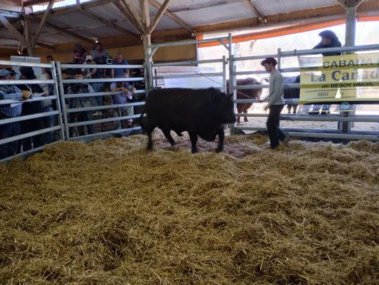 tn_IMG_20240925_120720606_HDR