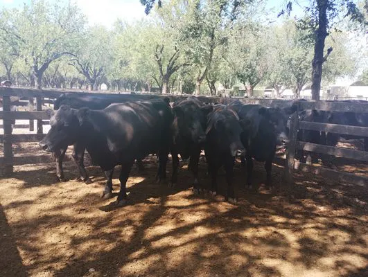 tn_IMG_20250220_152139816