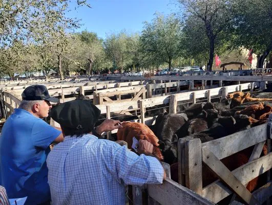 tn_IMG_20240405_165405681_HDR