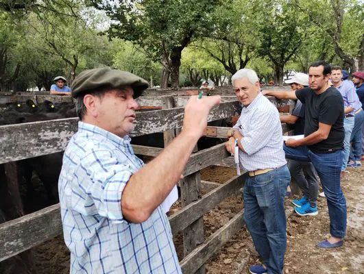 tn_IMG_20240306_153125412