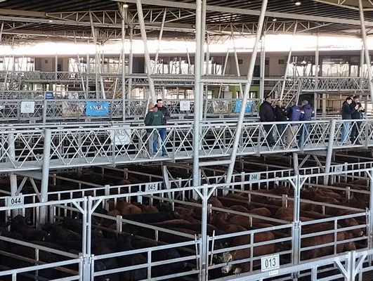 tn_IMG_20240916_090628393