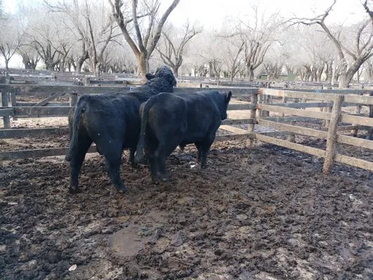 tn_IMG_20240628_145431166