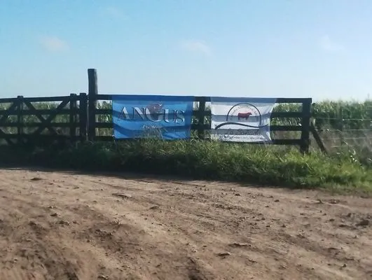 tn_IMG_20250409_092235511