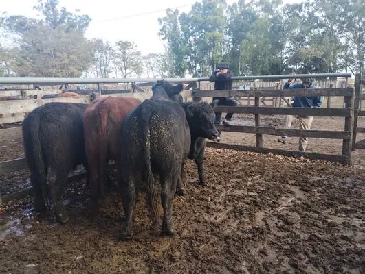 tn_IMG_20250505_154129280