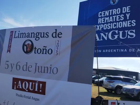 tn_IMG_20250604_130601751