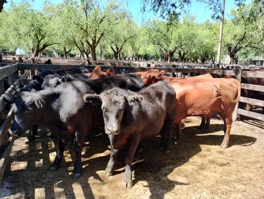 tn_IMG_20240214_145922082_HDR