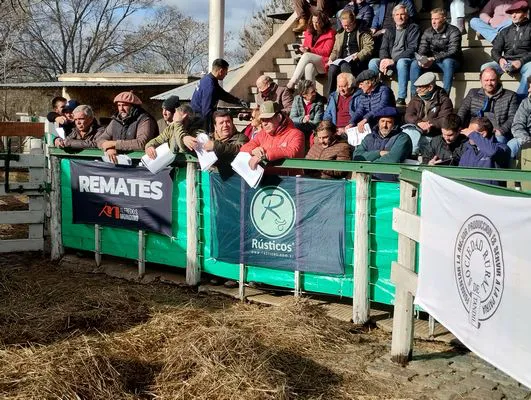 tn_IMG_20240625_143306857_HDR