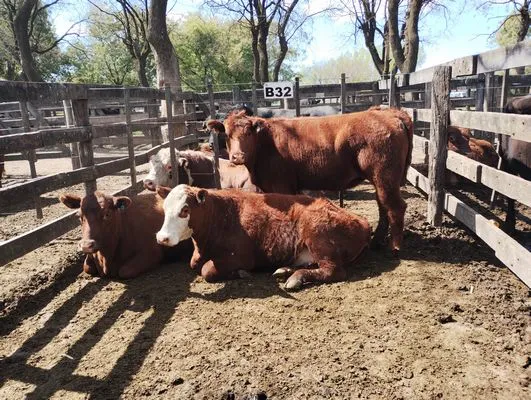 tn_IMG_20240925_141425185