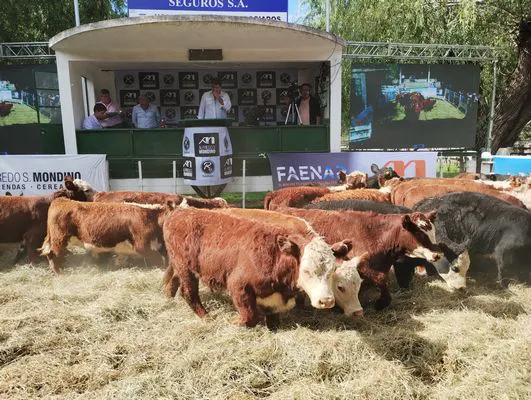 tn_IMG_20240322_150556658