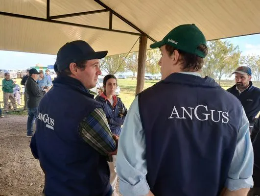 tn_IMG_20250409_124616635_HDR