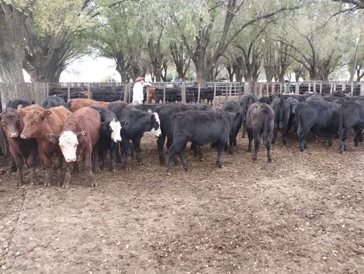 tn_IMG_20250602_161325342