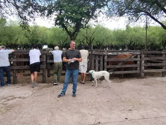 tn_IMG_20250116_150056139