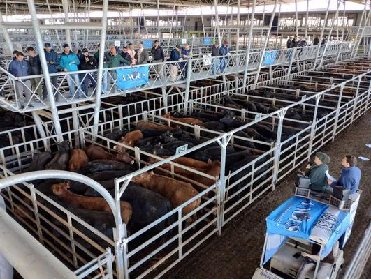 tn_IMG_20240916_102357303_HDR