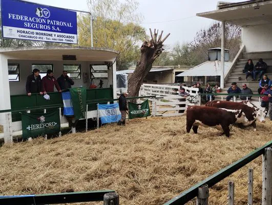 tn_IMG_20240601_130017861