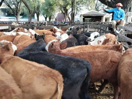 tn_IMG_20240430_152851224