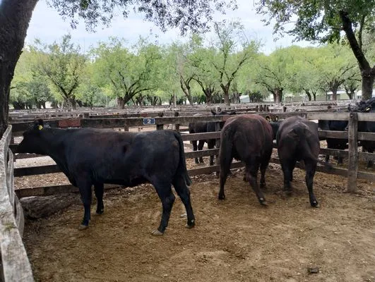 tn_IMG_20240306_150110273_HDR