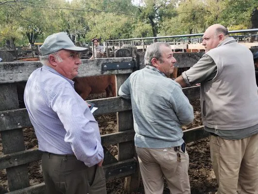 tn_IMG_20250514_132102511