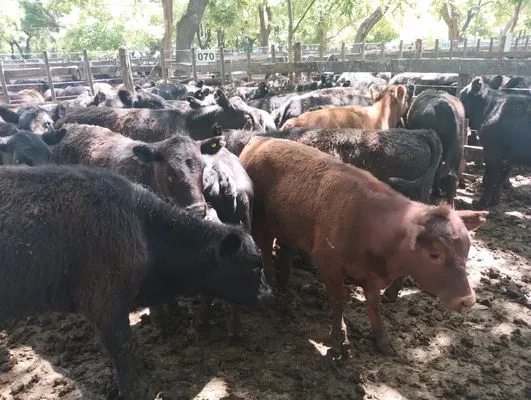 tn_IMG_20241129_144619480