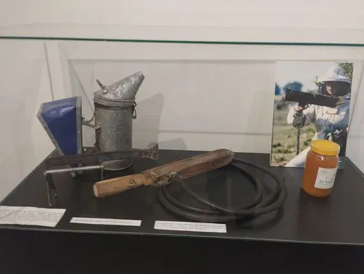 tn_IMG_20241015_185659331