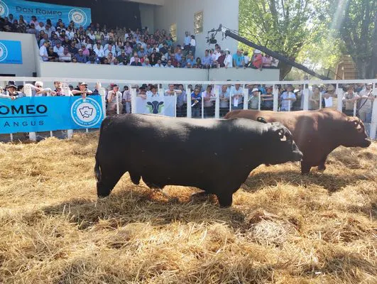 tn_IMG_20241018_150855994