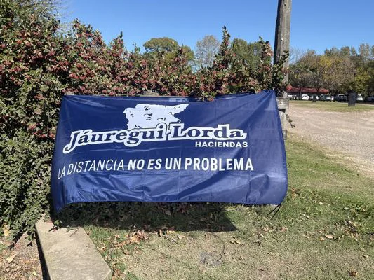JL19