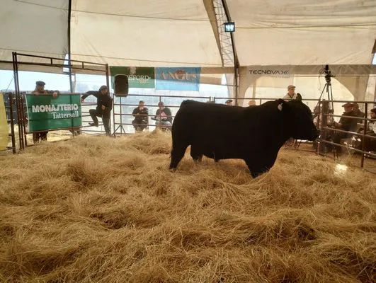 tn_IMG_20240711_150116293_HDR