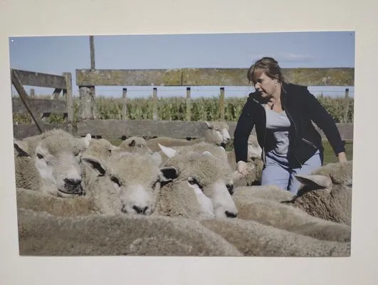 tn_IMG_20241015_185557706