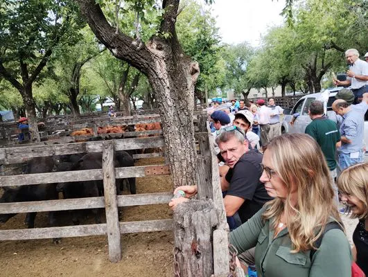 tn_IMG_20240306_153511062