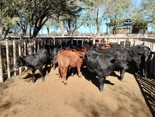 tn_IMG_20240406_144605026_HDR